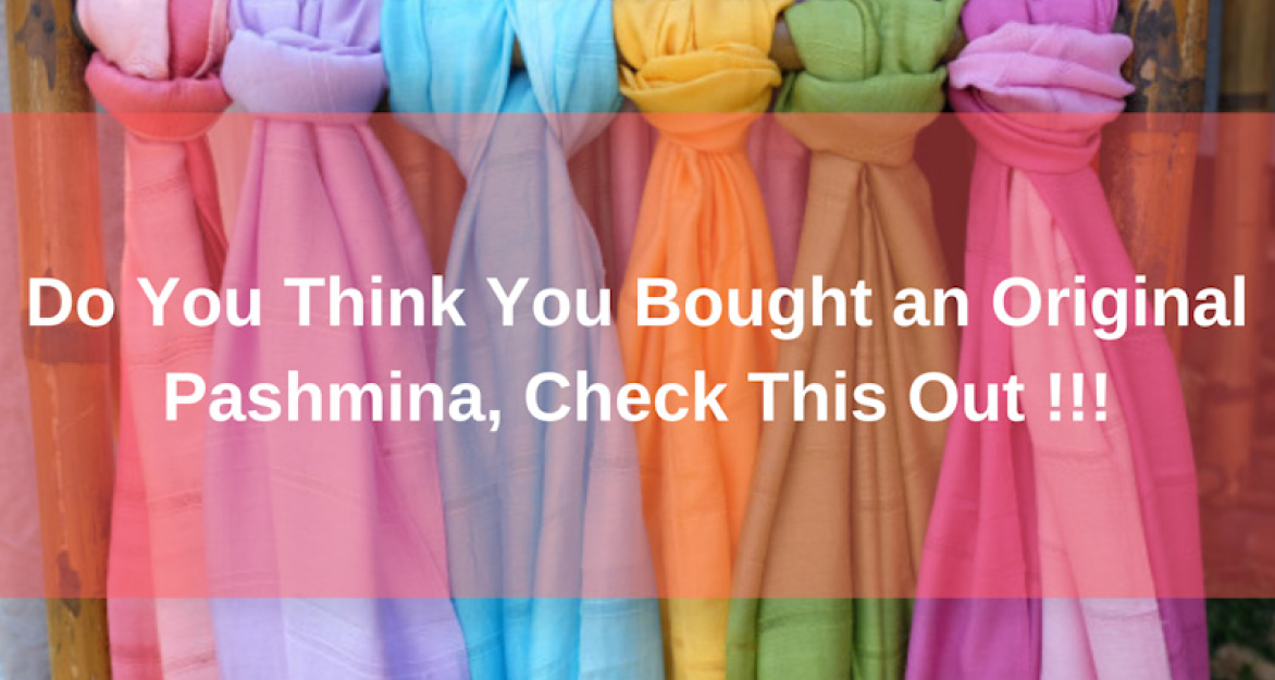 Do You Think You Bought an Original Pashmina, Check This Out !!!