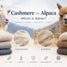 cashmere vs alpaca
