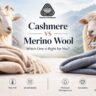 cashmere vs merino wool